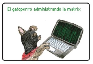 El gato perro administrando la matrix